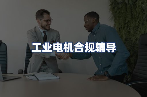 工业电机合规辅导